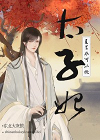 直男不可以做太子妃!