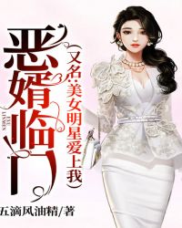 恶婿临门（又名：美女明星爱上我）